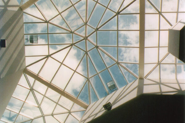 BVI Polygon Skylight